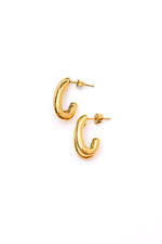 Pushing Limits Gold Plated Earrings - Maple Row Boutique 