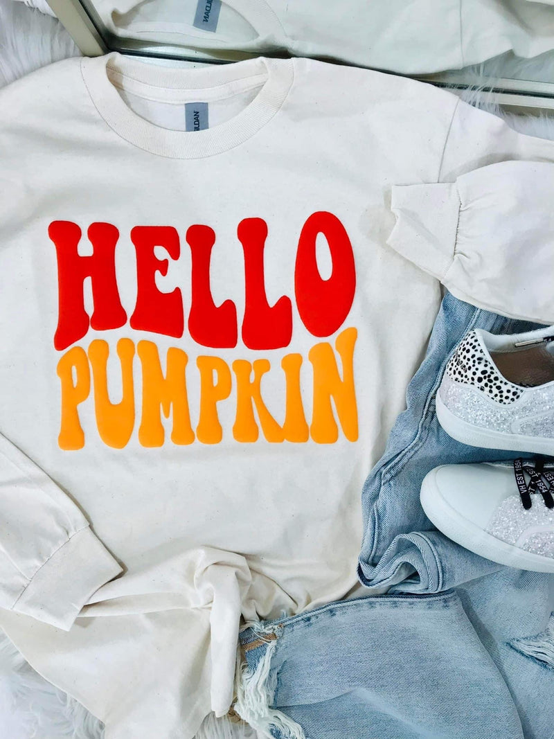 Hello Pumpkin Sweatshirt - Maple Row Boutique 