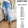 Urban Distressed Jeans - Maple Row Boutique 