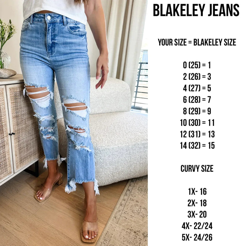 Urban Distressed Jeans - Maple Row Boutique 