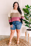 Ivory, Mocha, Berry, & Black Color Block Sweater - Maple Row Boutique 