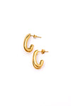 Pushing Limits Gold Plated Earrings - Maple Row Boutique 