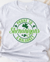 PRONE TO SHENANIGANS TEE (BELLA CANVAS) - Maple Row Boutique 